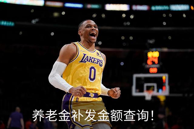 养老金补发金额查询！